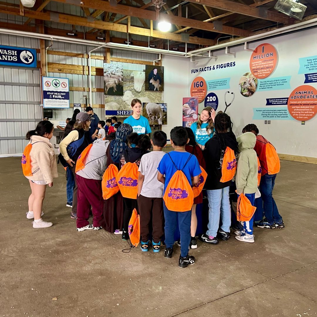 This week 1,200 third-grade students from metro-area schools visited the fairgrounds for Urban Ag Day! 🚜⁣ ⁣ More than 12 @MNFFA chapters from across the state participated by teaching students. Also joining the classroom for a day was @LtGovFlanagan, thank you for stopping by!