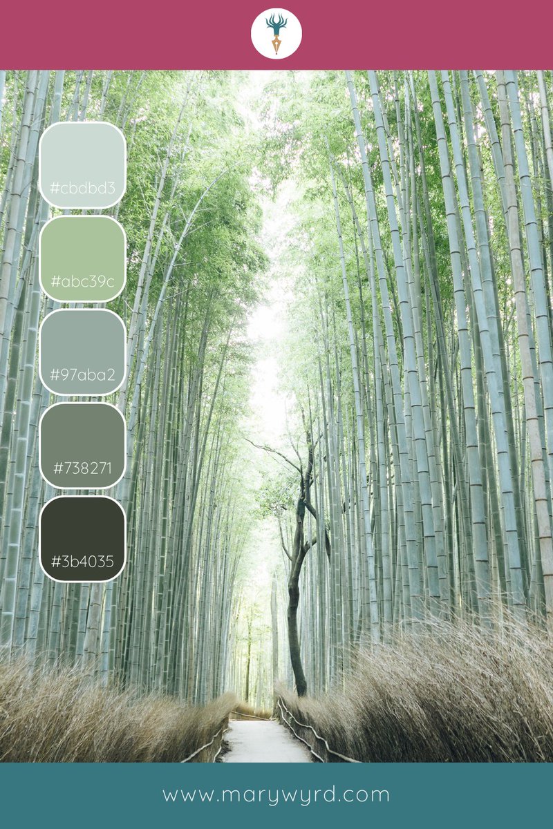 HEX code colours

Cool greens and greys from this Bamboo Forest in Japan

#NaturePhotography #DesignInspiration