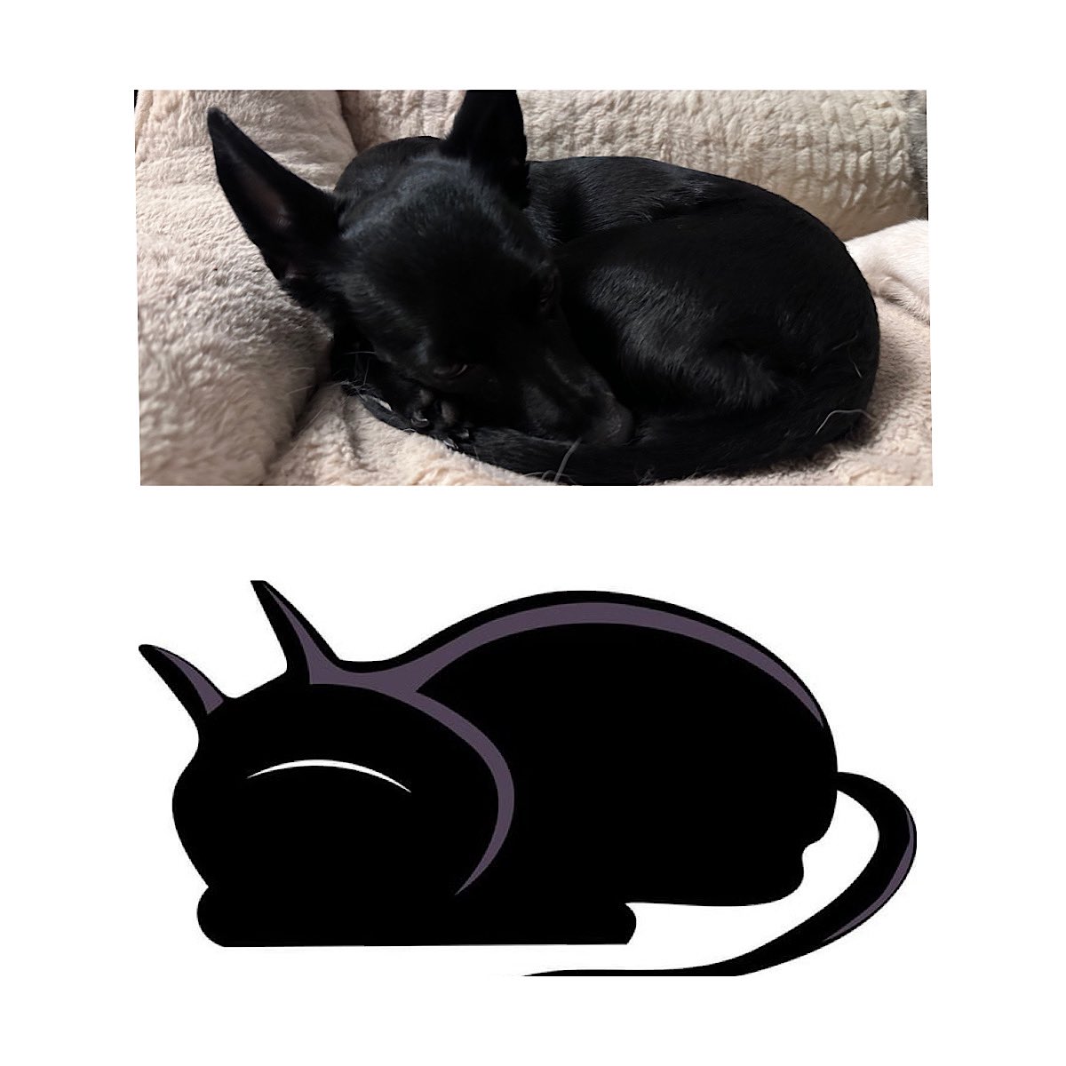 I thought I was the only demon in this household 🔥🦴🤨