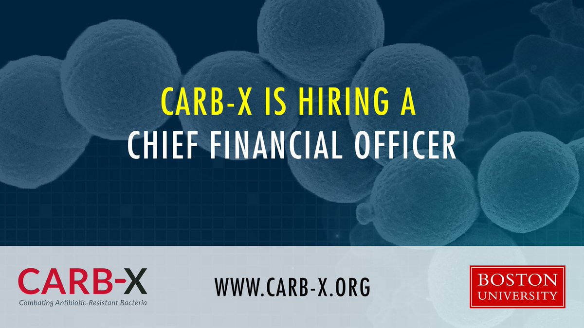 💼 CARB-X is hiring a CFO! We are looking for a strategic thinker and communicator with a strong background in financial modeling and analysis. The CFO will oversee operational finances and collaborate on strategy with our Executive Team. ➡️ Apply today! bit.ly/3UQCYOJ