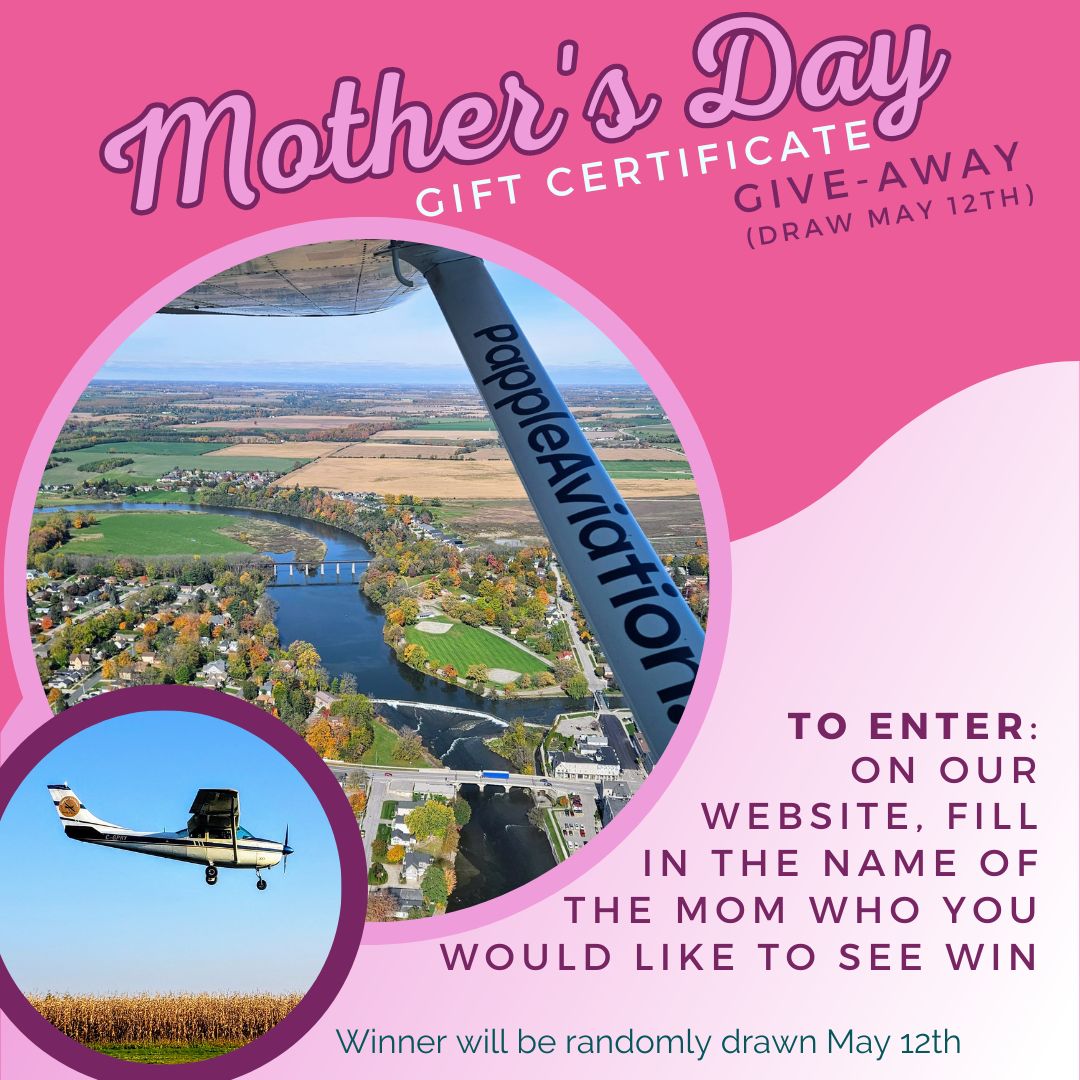 Papple Aviation tweet media