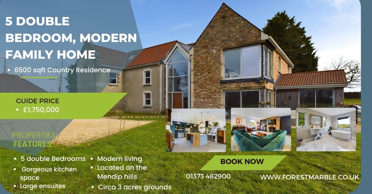 Forest Marble tweet media