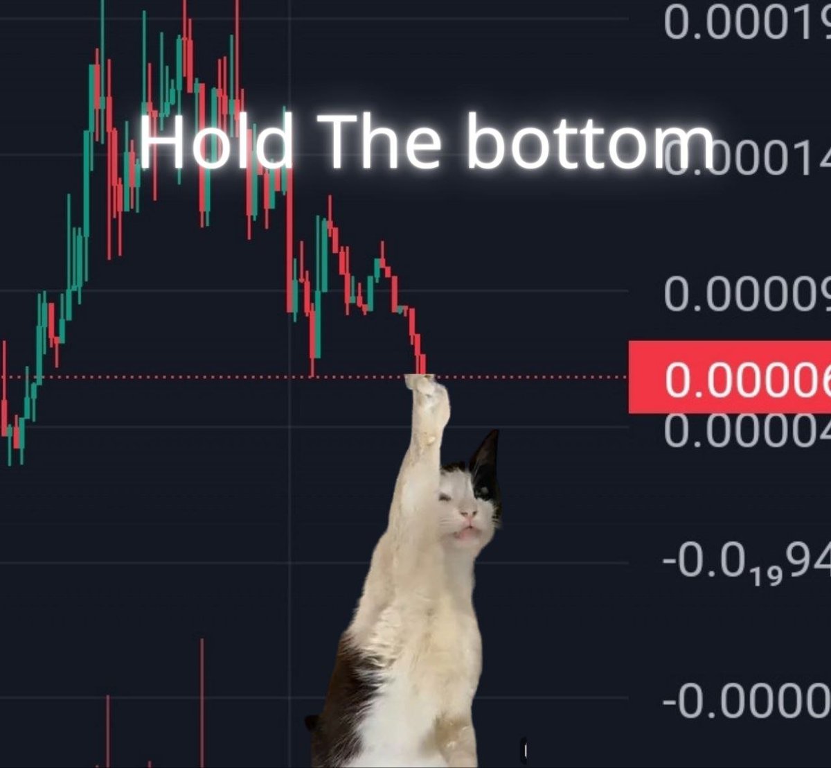 cat_h20's tweet photo. @CryptoEnthuis @sentientGirlx i'm so thirsty #h20cat https://t.co/pq1JQZPAIO