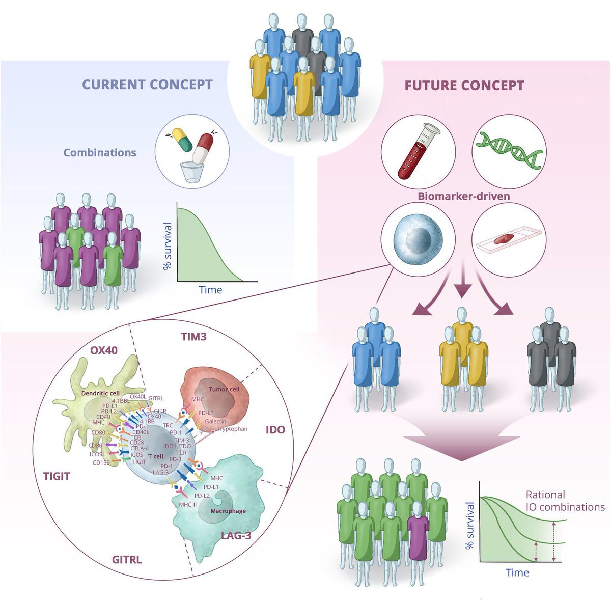 ⭐️Sharing our editorial 👉Rationalizing rules for immunotherapy combination trials: About time for precision immunotherapy @ADesaiMD @OncoAlert @JournalCancer @AmericanCancer acsjournals.onlinelibrary.wiley.com/doi/10.1002/cn…