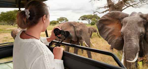 Wildlife Adventures - inspires.to/experiences/wi… On a wildlife tour, expect exhilarating close encounters with the world’s most fascinating species, from the Arctic's icy expanses to the African savannah's vastness. #wildlifetour #safari #ExodusTravelExperiences #ExodusTravel