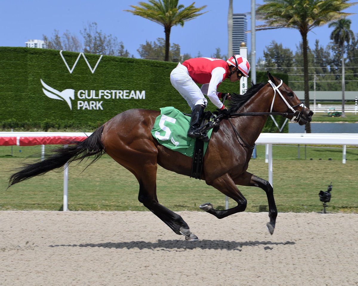 #10May Super Freaky Girl

Jockey: Emisael Jaramillo
Trainer: Carlos David
Owner: Eric Nikolaus Del Toro and Troy Johns 
Maiden Special Weight $60,000 • Tapeta

9️⃣th victory for Carlos David #GulfstreamPark #RoyalPalmMeet Friday, May 10, 2024 #TeamDavid

📸 @coglianesephoto