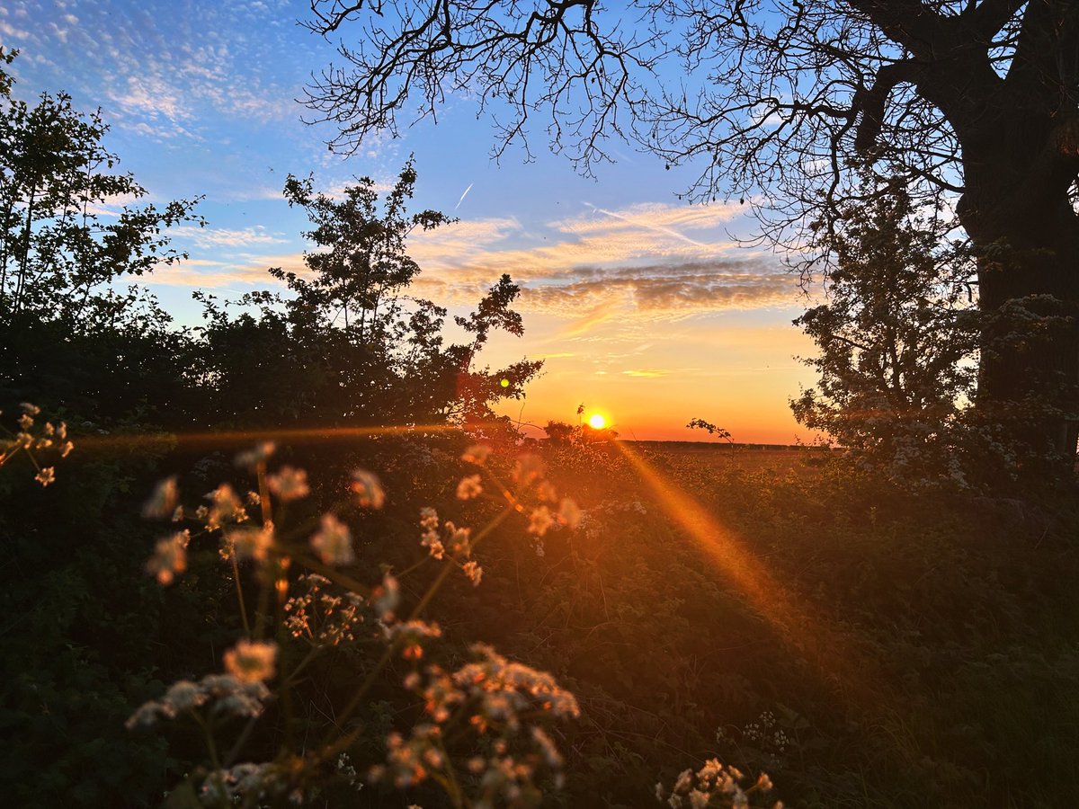 Walking home from the pub across the fields. Got to love the Shire.