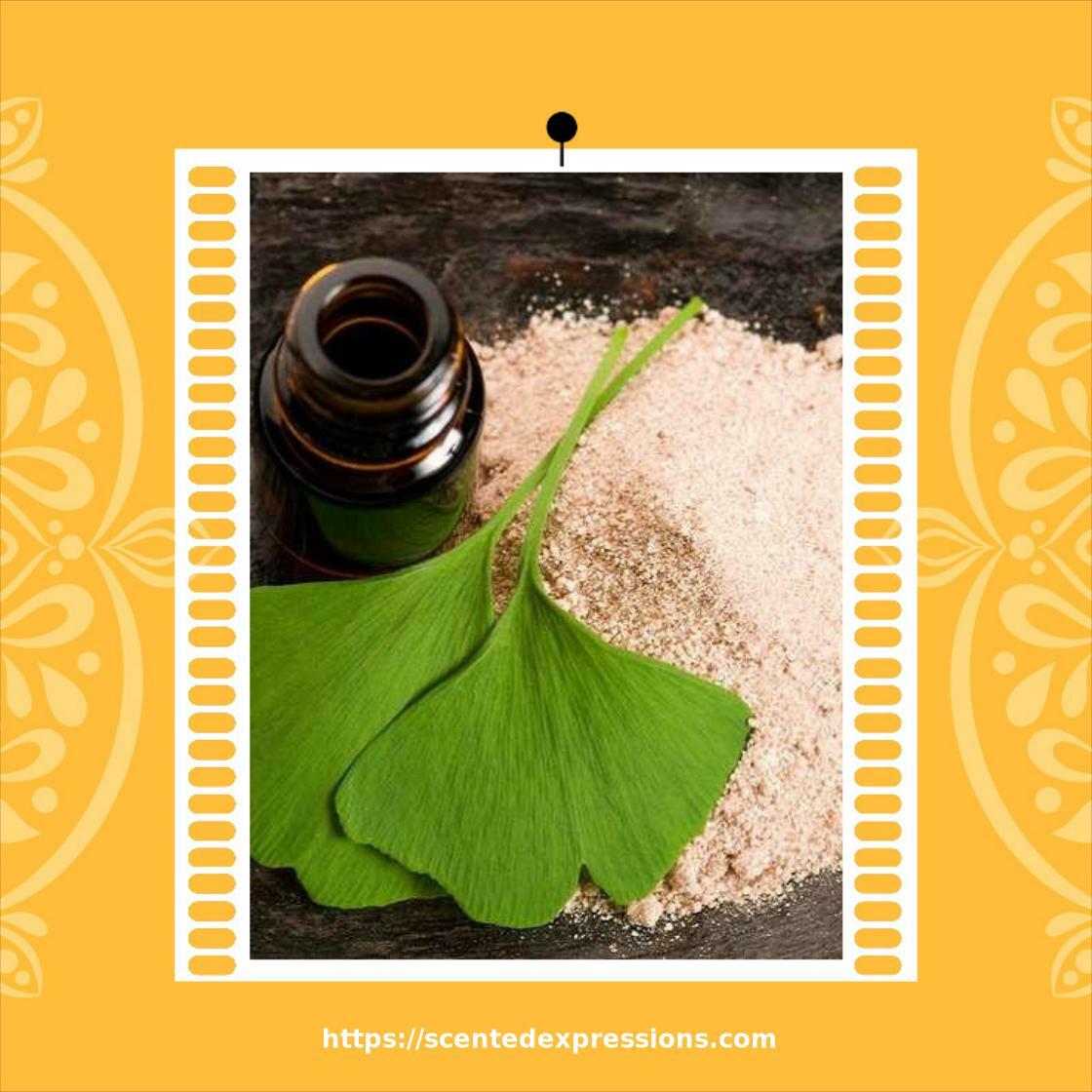 Ready for an epic shopping spree? Ginkgo Biloba Powder, at a mind-blowing price of $2.68 Don't wait!
scentedexpressions.com/ginkgo-biloba-…
#SOAPMAKINGSUPPLIES #CARRIEROIL