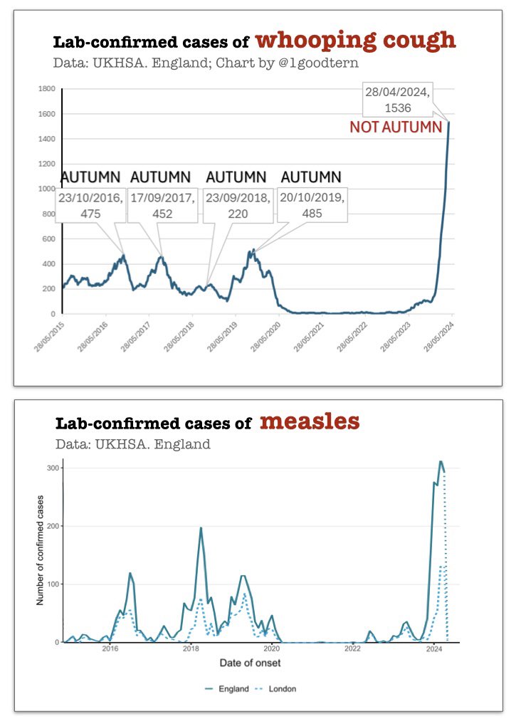 WHOOPING COUGH &amp; MEASLES:

Two diseases which are:

▪️highly contagious (whooping cough is contagious for up to 3 weeks)

▪️spread through the air (airborne)

▪️start out with mild cold-like symptoms

▪️currently circulating at extremely high levels

(A bit like Covid, really…)