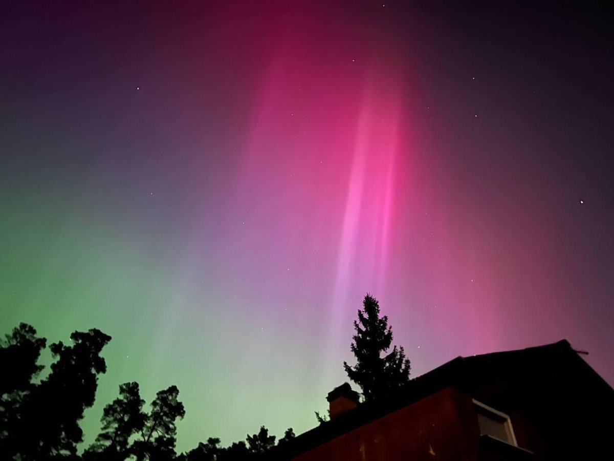 Volcaholic 🌋 tweet media