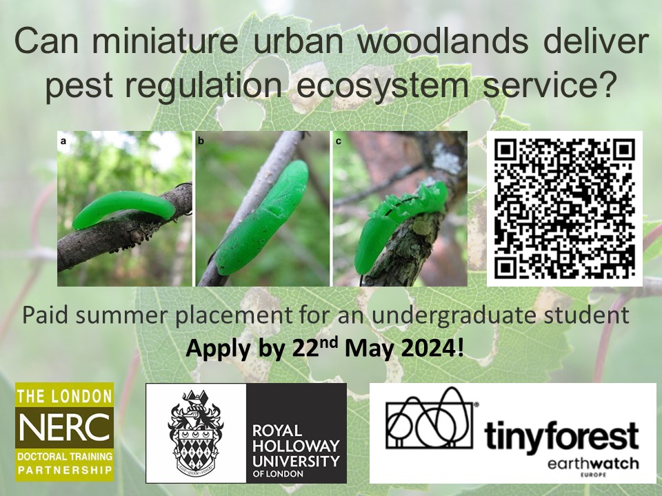 Julia Koricheva (@korichevalab) on Twitter photo 📢 I am offering a 6-week paid summer research placement in my lab <a href="/RHULBioSci/">RHUL Biology</a> for an UG student as part of <a href="/NERCscience/">Natural Environment Research Council</a> Research Experience Placement scheme. UK residents on 2nd-4th year of their science degree are eligible to apply
🐛🐜🐦🌳 #TinyForest
london-nerc-dtp.org/2024/03/25/can… 📢 I am offering a 6-week paid summer research placement in my lab <a href="/RHULBioSci/">RHUL Biology</a> for an UG student as part of <a href="/NERCscience/">Natural Environment Research Council</a> Research Experience Placement scheme. UK residents on 2nd-4th year of their science degree are eligible to apply
🐛🐜🐦🌳 #TinyForest
london-nerc-dtp.org/2024/03/25/can…