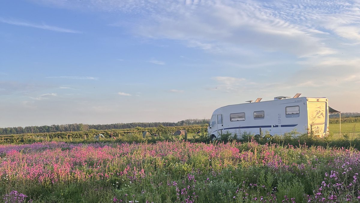 Beautiful evening for the  campers tonight. Happy Friday everyone! 
#camping #FridayFeeling #weekend #sunnyday #CoffeeLover #outdoor #outdoorfun #yorkshire #eastyorkshire
