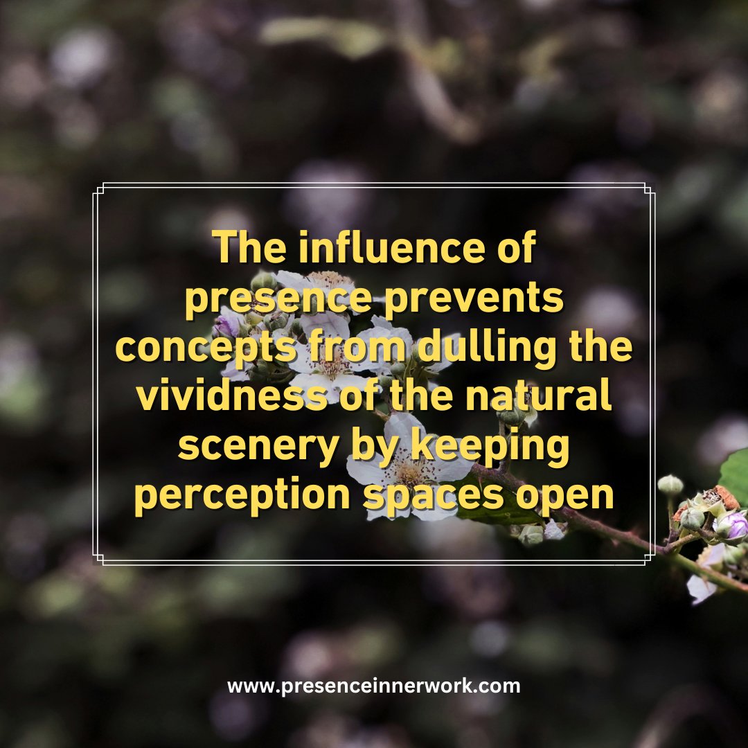 The influence of presence prevents concepts from dulling the vividness of the natural scenery by keeping perception spaces open
.
.
.
#diegosimon #presenceinnerwork #innerwork #innergrowth #selflover #mindbodysoul #selfhelp #personalgrowthcoach #meditationcoach #meditationtools