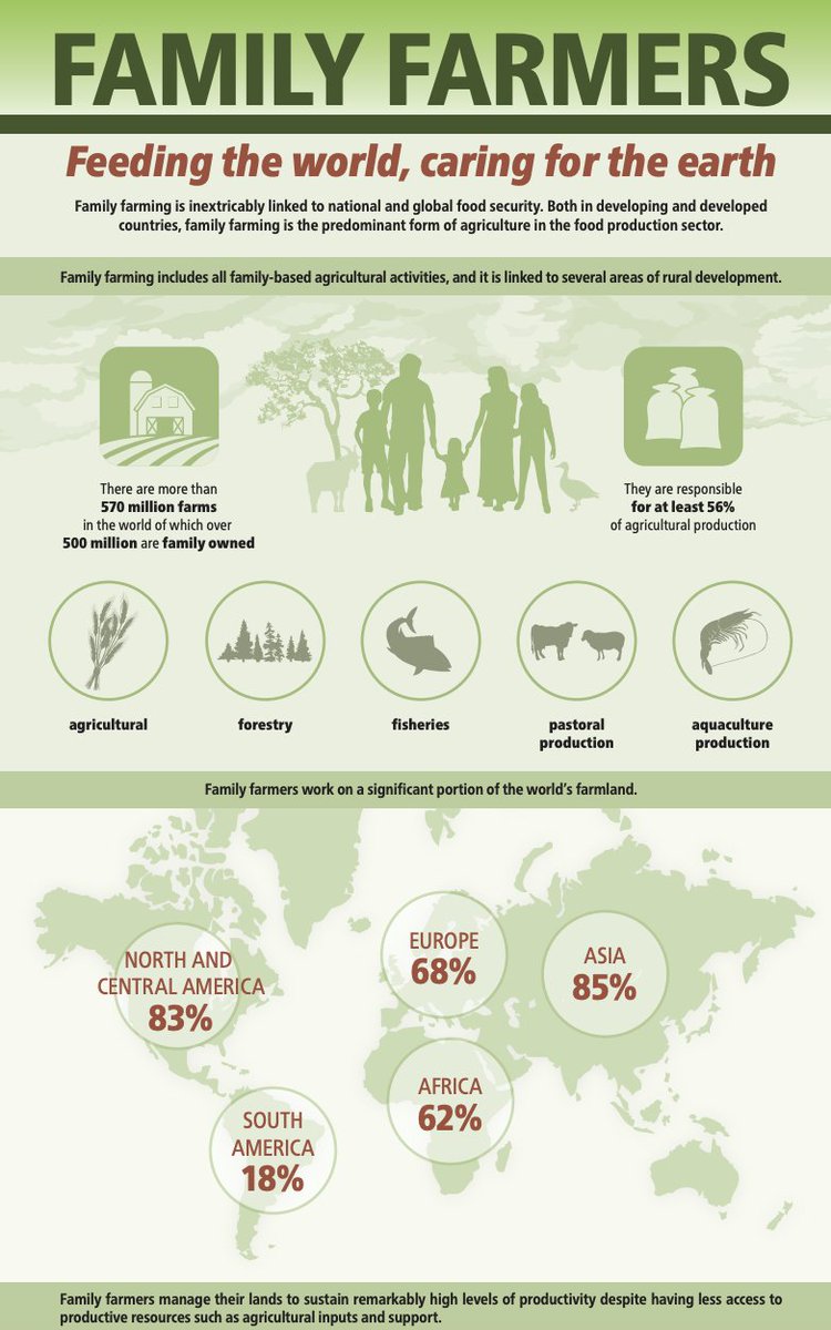 🌳 Family farms feed the world 🌎 They are responsible for at least 56% of agricultural production. 🌱 🌿 #ForNature #Biodiversity via @fao