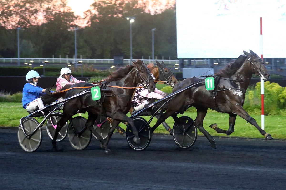 🏆🥇𝑳𝑼𝑪𝑰𝑨𝑵𝑶 𝑴𝑬𝑵𝑼𝑬𝑻 brille dans le 𝑷𝒓𝒊𝒙 𝑷𝒂𝒖𝒍 𝑲𝒂𝒓𝒍𝒆 (𝑮𝒓.𝟐) à @Vincennes_Hippo !

Élevé par Michel Menuet et présenté par le Haras de @Lapaumardiere aux Ventes de Yearlings 2022, il avait été acheté 45.000€ par l’@EcurieCharmes

👏 Bravo !
📸 @ScoopDyga