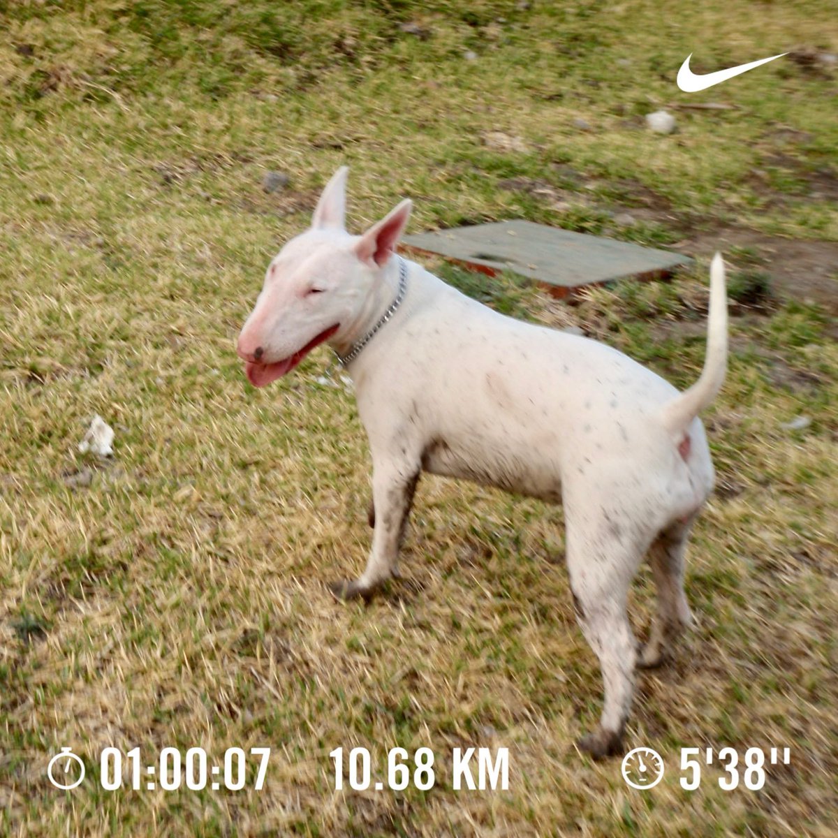 Entrenamiento de viernes 60 minutos !!!
#YoElegíCorrer 

#Charlotte 

#StopWar  #StopRussiaWar 
#StopWar  #StopTerrorism 
#Peace  #PeaceInTheWorld 
#Peace  #PeaceOnEarth