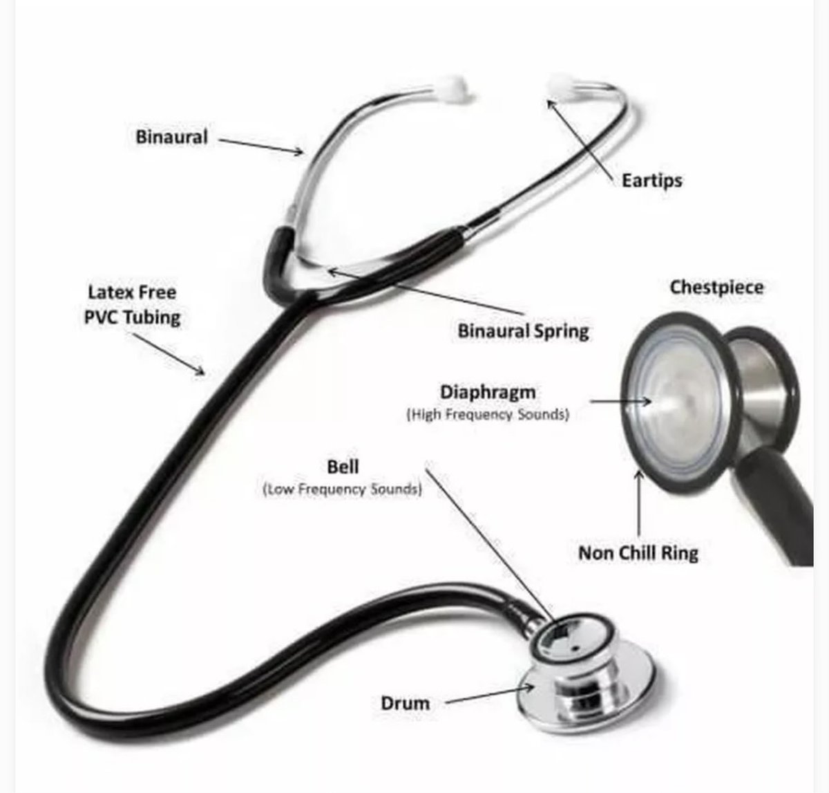 Anatomy of stethoscope. Do you use one of these?