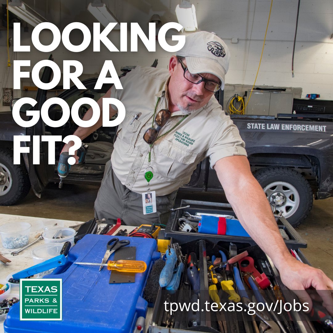 TPWDnews's tweet photo. We're hiring! Enjoy great benefits and a friendly team.
HOT JOBS:
🔥 HVAC Mechanic
🔥 Fleet + Radio Manager
🔥 Records Manager
Check out these jobs and more at https://t.co/sRO7gosNhR
#CoolJobs
#WorkInTexas https://t.co/rhhAagHUKO