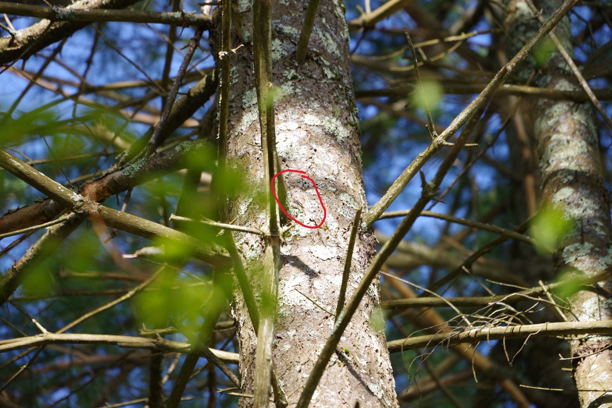 JLClarke tweet media