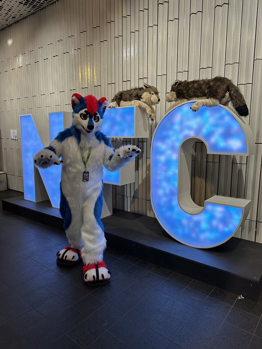 Trying to blend in with the wolves at the #nordicfuzzcon sign. Am I doing it right? x3
📸: @HexagonHusky
#FursuitFriday #nordicfuzzcon2024