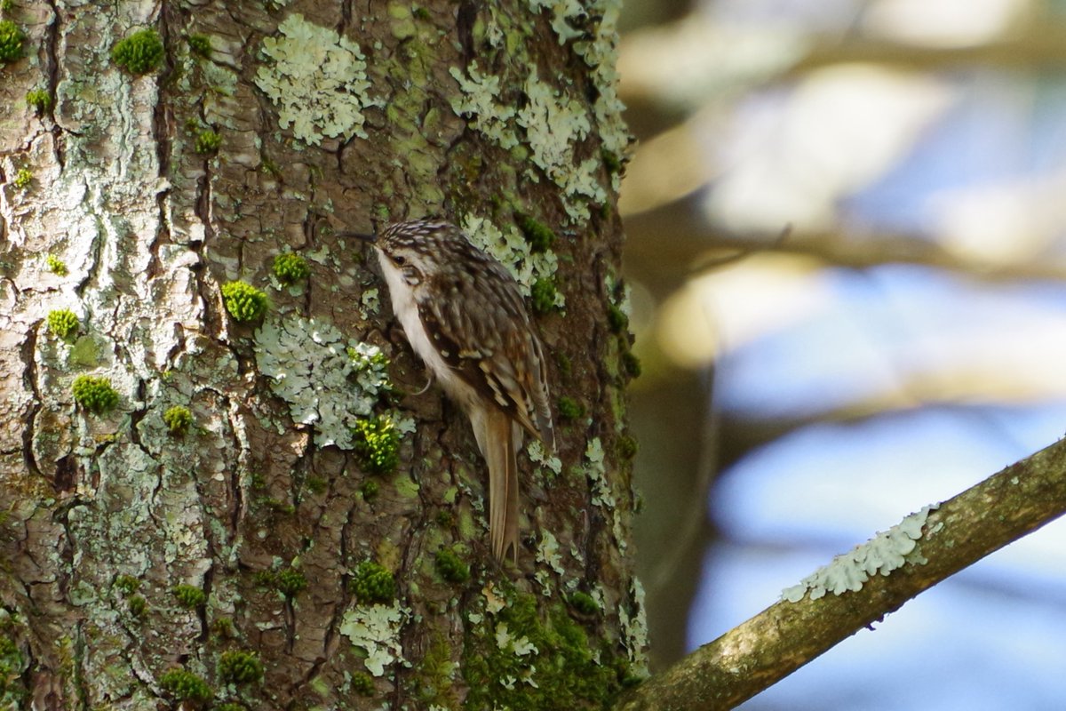 JLClarke tweet media