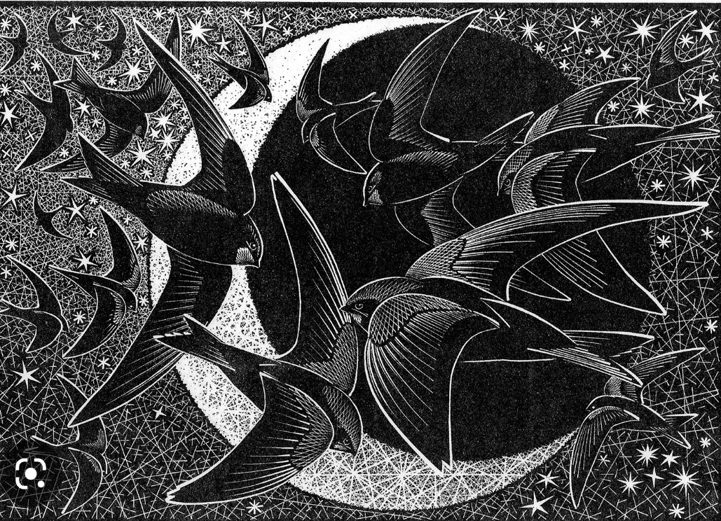 SheffSwiftNet's tweet image. During WW2, a fighter pilot, engines off behind enemy lines, reportedly flew through a cloud of 'almost motionless birds' at 10K feet - almost 2 miles high! 
One caught in his engine
He discovered he'd flown through a cloud of sleeping swifts.
Swifts, they sleep amongst the stars