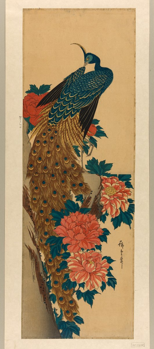 Peacock and peonies, by Utagawa Hiroshige, early 1840s #ukiyoe #浮世絵