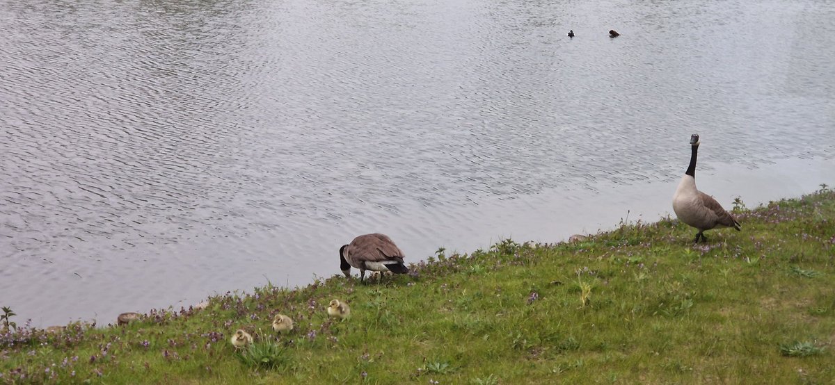 Besucher am Abend. Gerade gefuttert, jetzt noch fix einen hoffentlich leckeren Cocktail abgreifen.