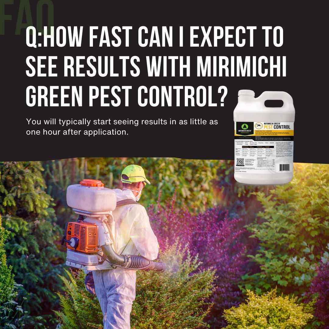 How fast can you see results with Mirimichi Green Pest Control? In as little as one hour after application, you can start saying goodbye to unwelcome visitors. Learn more: buff.ly/3y9xmpY #PestControl #HealthyLawn
