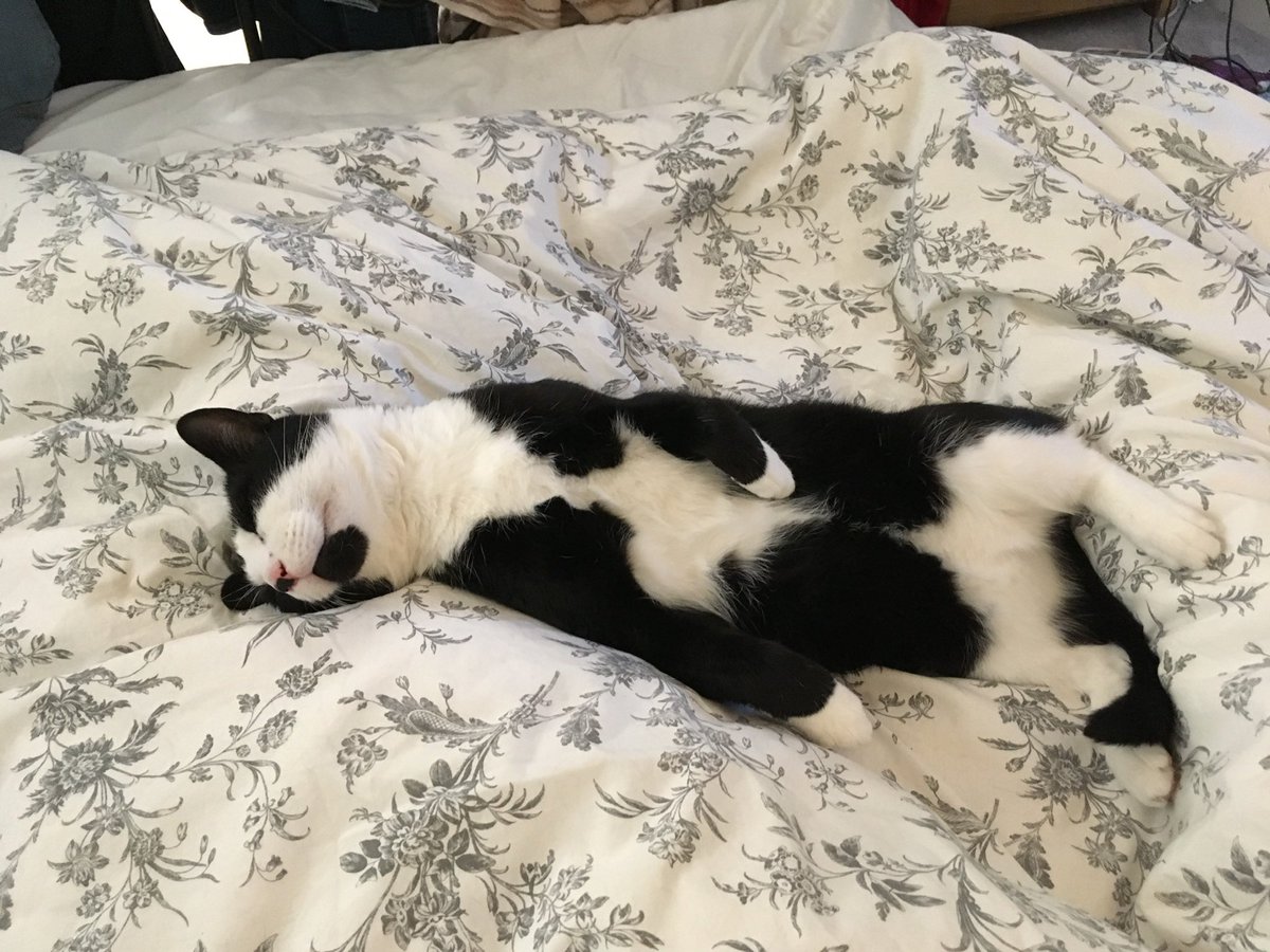 Malcolm McKenzie tweet media