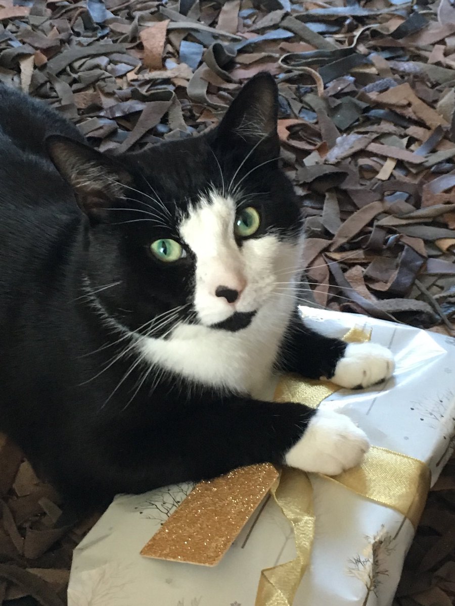 Malcolm McKenzie tweet media