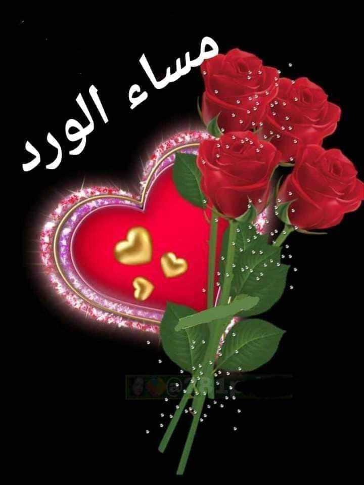 Tarek El-Sharkawy (@tarekel39486408) on Twitter photo 