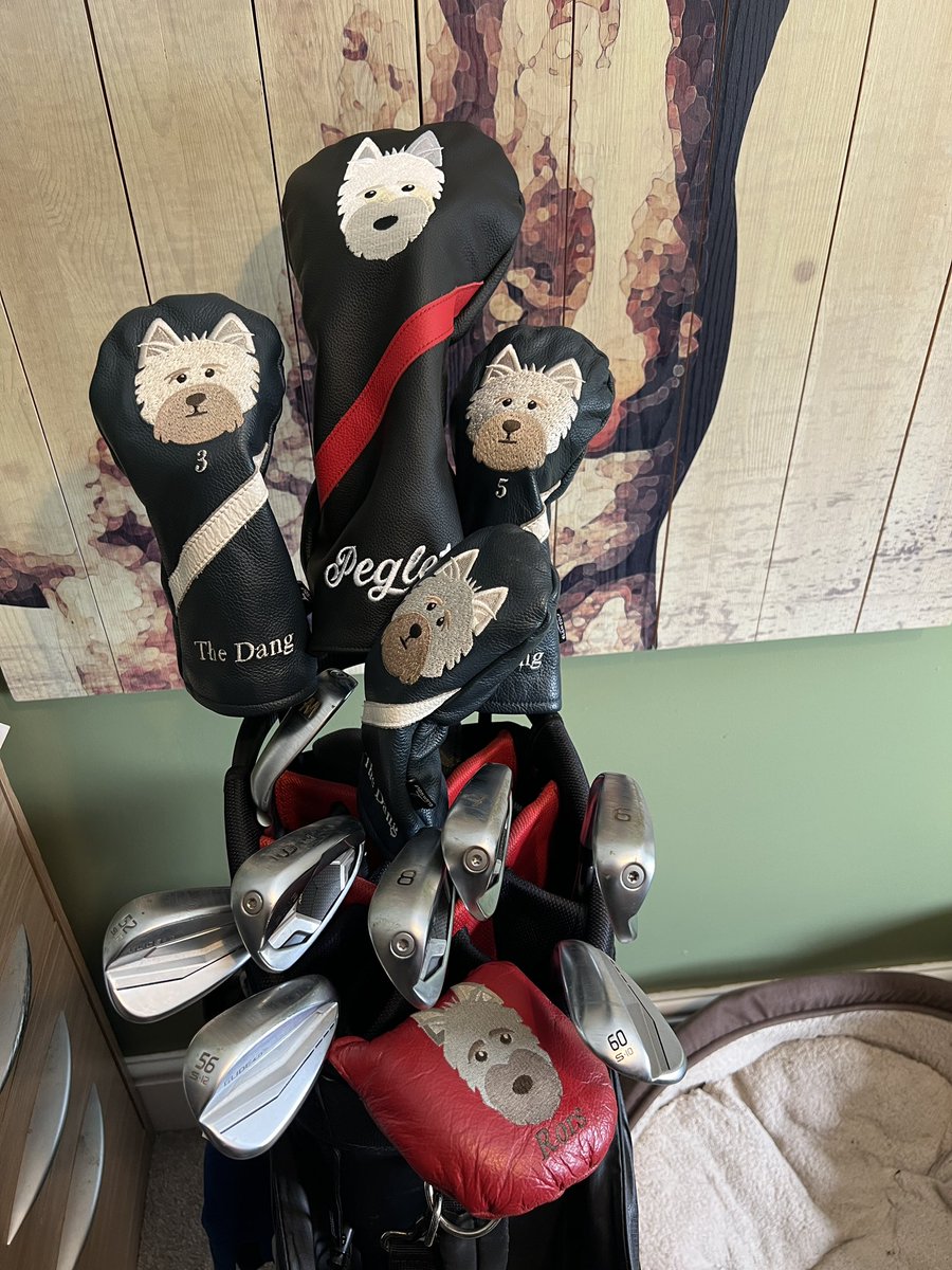 My last birthday present finally arrived and now my golf bag is complete! 😃❤️⛳️🏌🏼‍♂️
#ScottishTerrier #GolfLife #Peglet #Rors #Dang