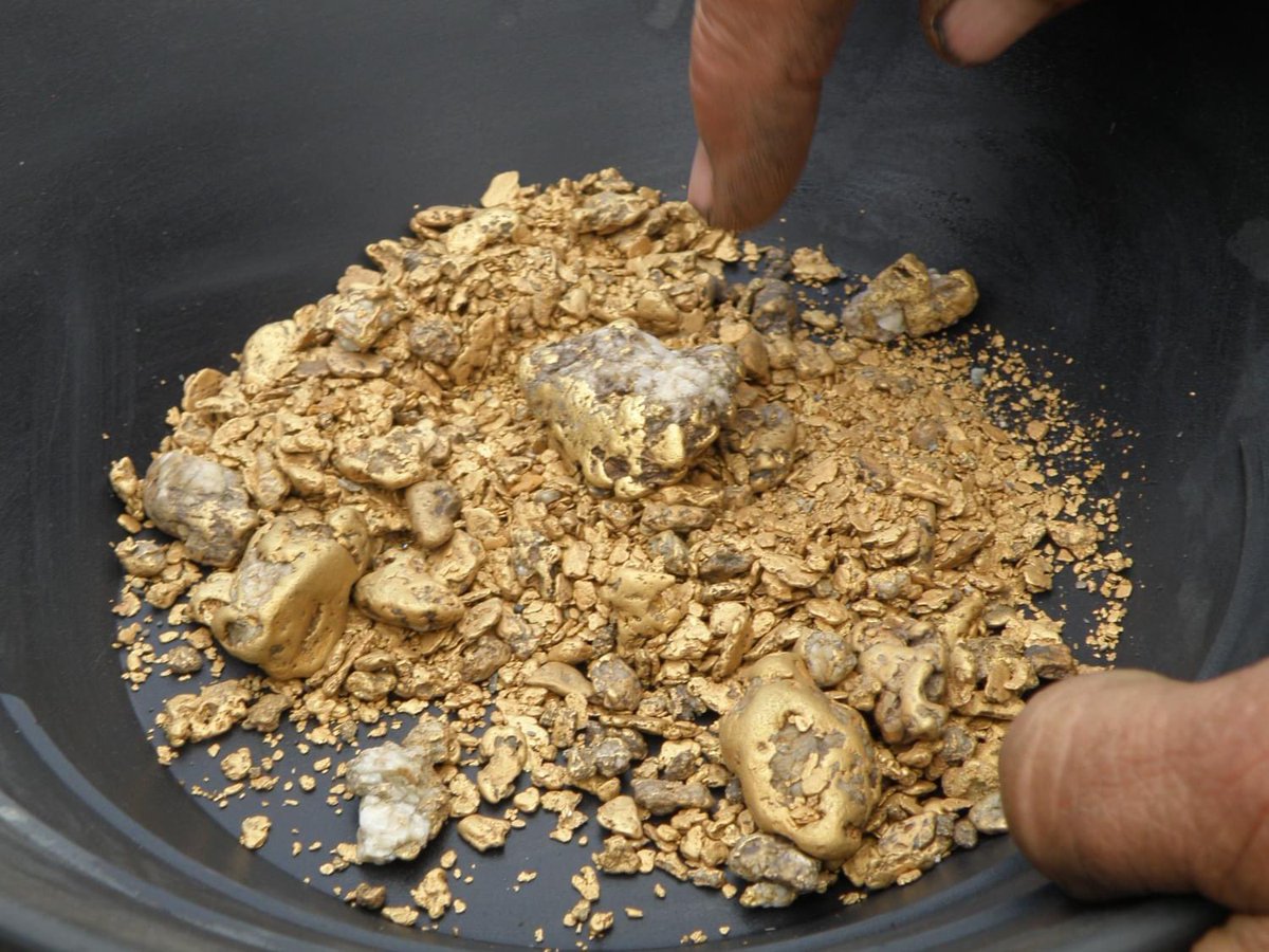 AKDNR_Official's tweet image. How are you celebrating #MiningDay in Alaska? DNR is presenting @GovDunleavy’s proclamation to the @AlaskaMiners and attending events across the state to mark this important industry, as well as individual gold panners!