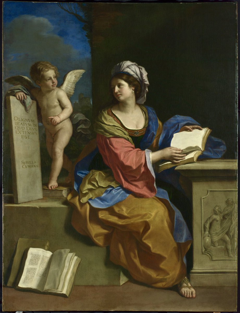 Pippa Shirley tweet media