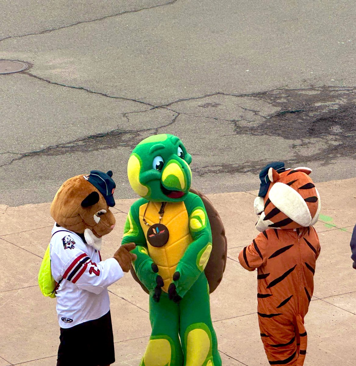 Mascot meetup this afternoon at <a href="/TruroElemSchool/">Truro Elementary School</a> ! Thank you <a href="/Ulnooweg/">Ulnooweg Development Group Inc.</a> &amp; <a href="/trurobearcats/">Truro Junior ‘A’ Bearcats</a> for the visiting us to help Launch the Summer Solstice Mascot! We can’t wait for our Virtual Run on June 13th! <a href="/KidsRunClub_DNS/">Kids Run Club</a> 💙💛🐯🐢 <a href="/CCRCE_NS/">CCRCE</a>