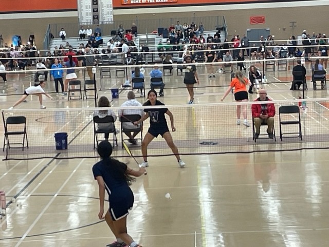 Denise Tellez in action today at @IHSAState Badminton at DeKalb HS.