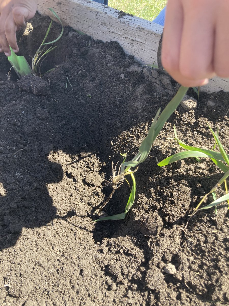 Rainbow Creek tweet media