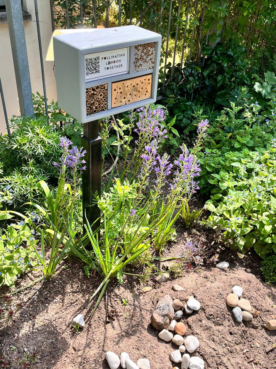 Thank you @CultureMileBID for helping us bring alive the Garden’s pollinator bed complete with a insect hotel, @PollinatingLT, site for ground nesting bees and a hoverfly lagoon. Plants from @CrowdersNursery