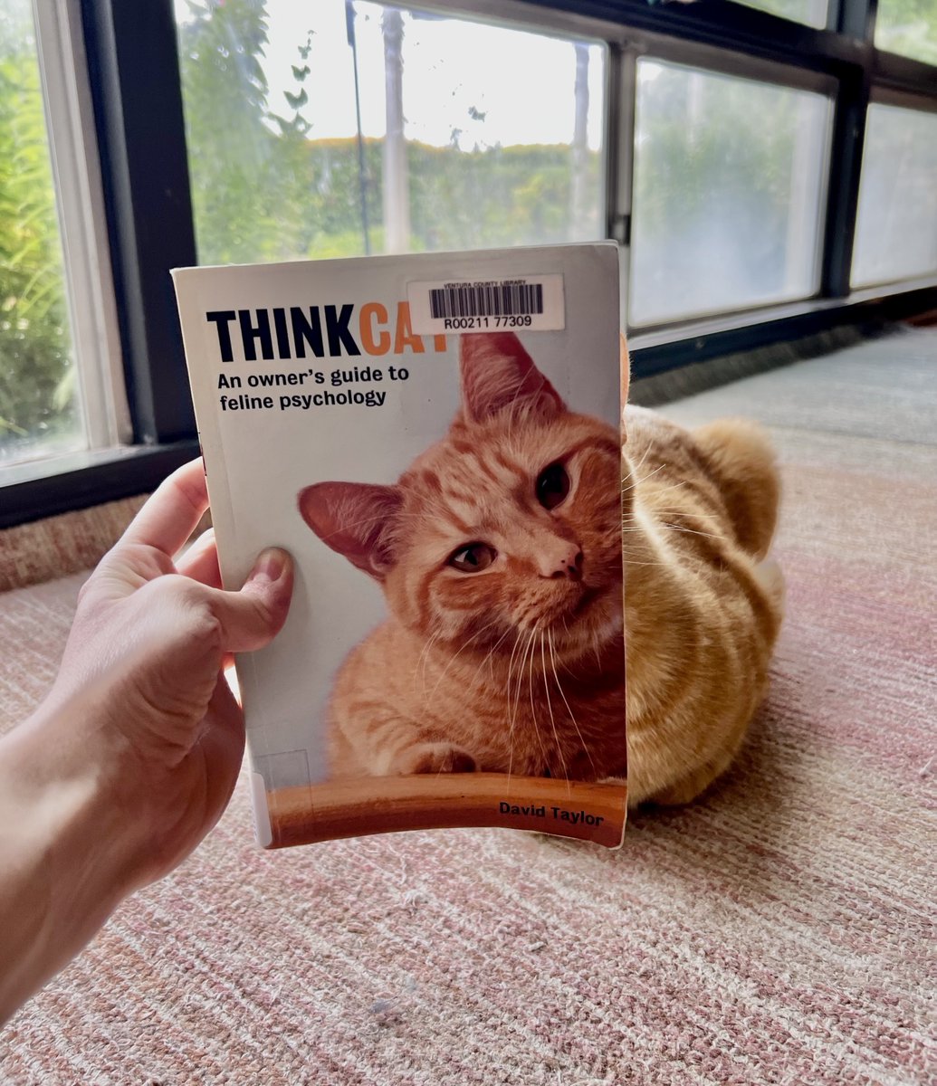 We're back with another #BookFace Friday! Today, we have a special guest, Charlie, who will help us highlight the book Think Cat: An Owner's Guide to Feline Psychology by David Taylor!

#bookfacefriday #camarillolibrary #library