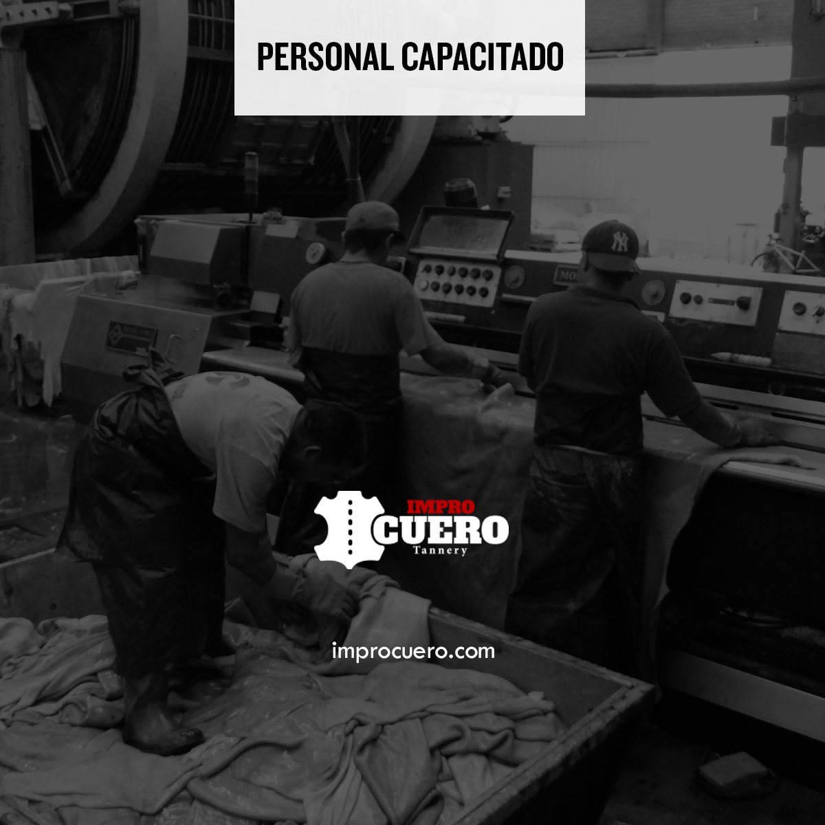 improcuero's tweet photo. Todo nuestro personal se encuentra en constante capacitación y evaluación.

Visita nuestra web: https://t.co/GTgaWv0DW3

#Improcuero #Pieles #Leather #LeatherCompany #Tannery #Tenería #Curtidos https://t.co/n9VCu4RfON