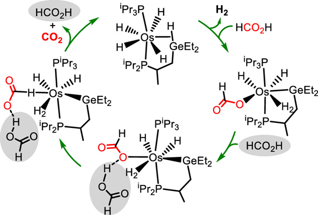 In this contribution in @Orgmet_ACS, @EsteruelasGroup rationalizes the role of a second formic acid molecule in the dehydrogenation of the acid promoted by an osmium-polyhydride. Just in time for your #WeekendReads pubs.acs.org/doi/10.1021/ac…