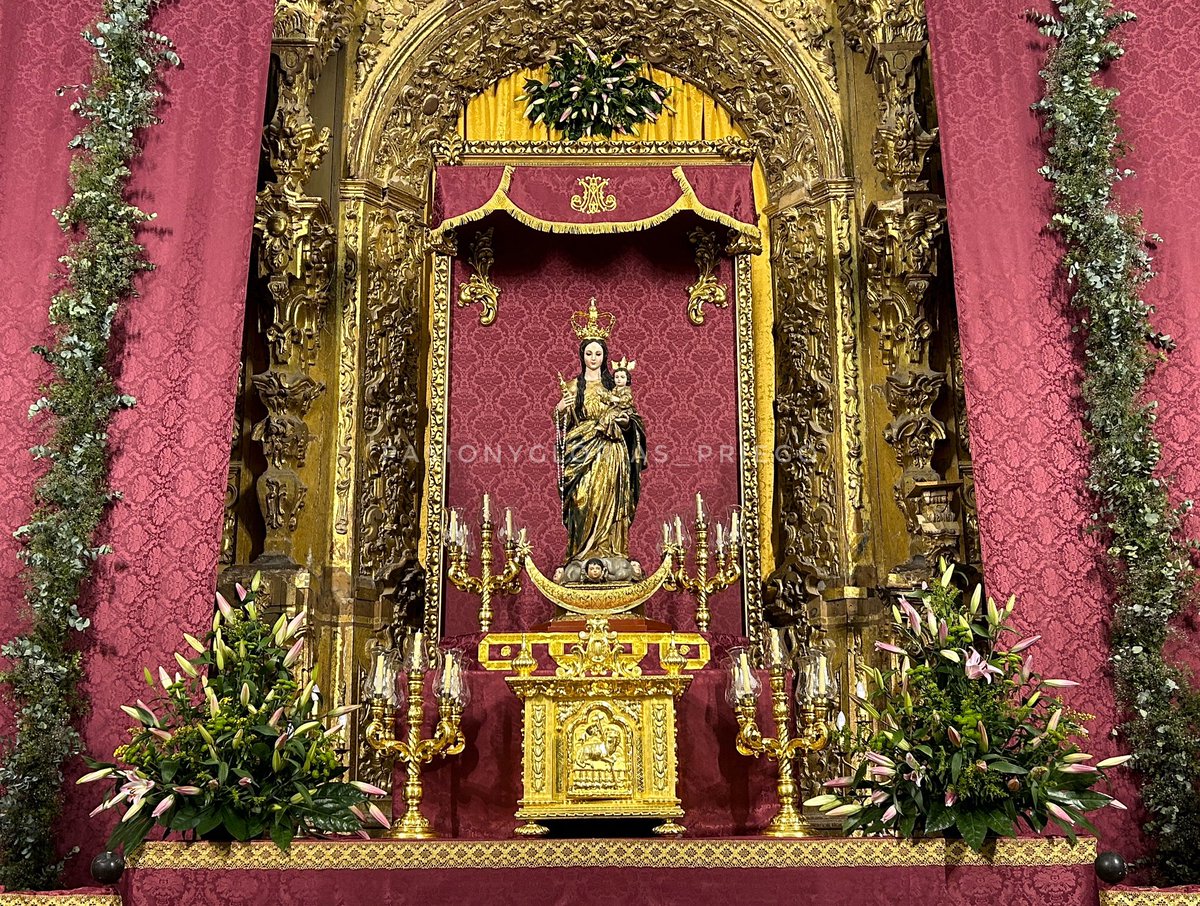 Altar de Cultos en Honor a Nuestra Señora del Buen Suceso. #Altar #Septenario #VirgendelBuenSuceso #HermandaddelBuenSuceso #Cultos #Glorias #FiestasVotivas #PriegodeCordoba