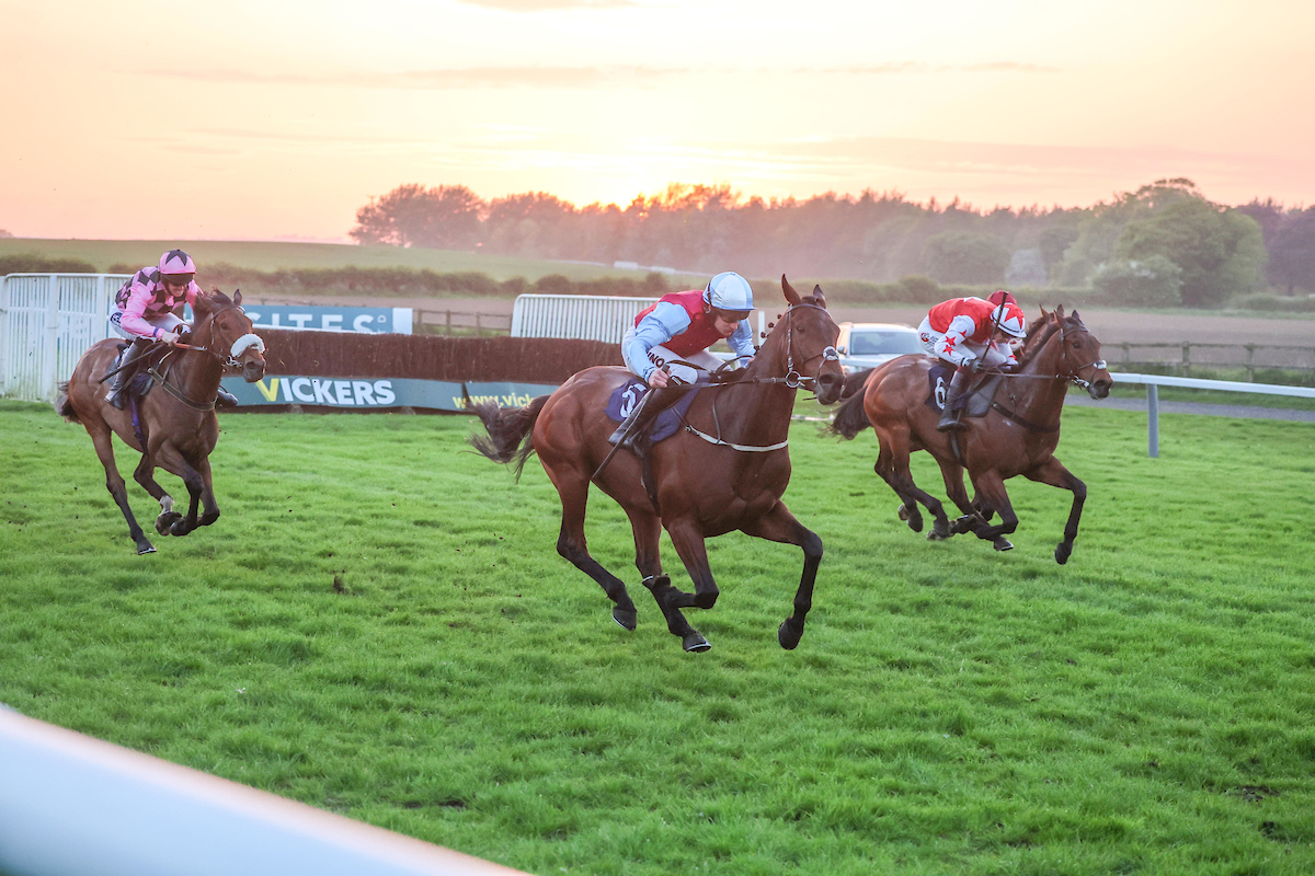 RACE 7 RESULT: AK Bets Chat To A Trader Open National Hunt Flat Race 🏆 Leader Wing Jockey: Henry Brooke Trainer: Tom Weston Owner: Tom Weston