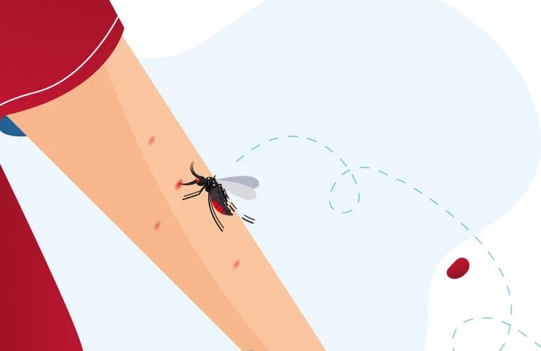 Caribbean Mosquito Awareness Week 2024: PAHO calls to unite against #dengue. ℹ️ Read more ⬇️ paho.org/en/news/10-5-2…