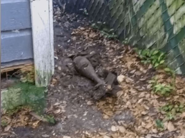 Off the Wall – Dog digging in Florida yard unearths decades-old military bomb southernnation.org/humor/off-the-… #FreeDixie #DeoVindice #FJB