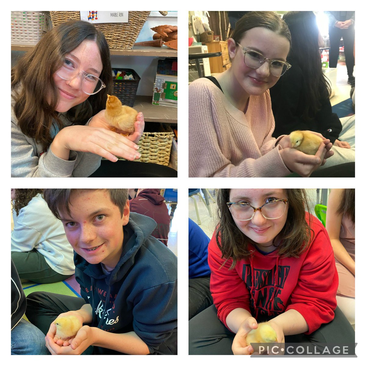 🐥 One of the best days! 🐥 <a href="/TPCS_LDSB/">TPCS Elem School</a>