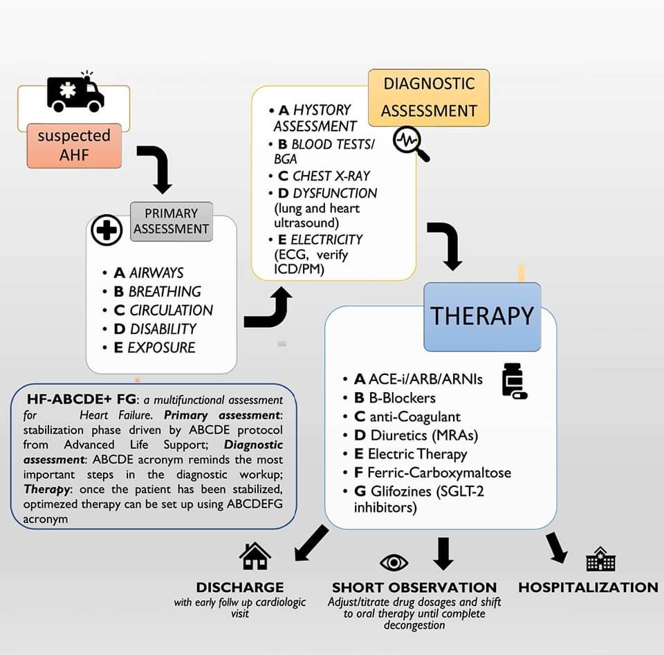 🔴 The HF-ABCDE + FG approach in heart failure: a simplified decision-making algorithm for management in ED

academic.oup.com/ehjacc/article…
 #cardiotwitter #medEd #cardiology #heartfailure #CardioTwitter #medtwitterWhat #FOAMed #MedEd #CardioEd #medx #MedTwitter #cardiotwiteros #SGLT2