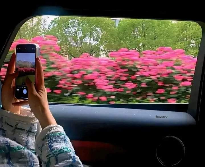 As soon as I see flowers.. 😫💗💗💗💗🌸