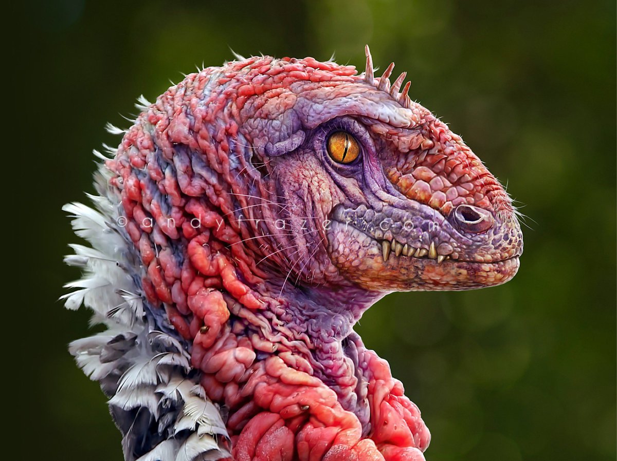 Turkey with teef. 🦖🐓